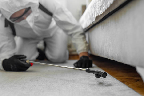 Professional Bed Bug Control technician working in Eufaula, OK