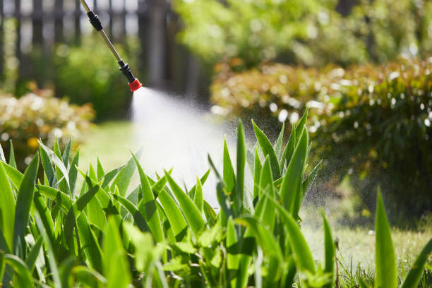 24/7 Emergency Bed Bug Control experts in Eufaula, OK