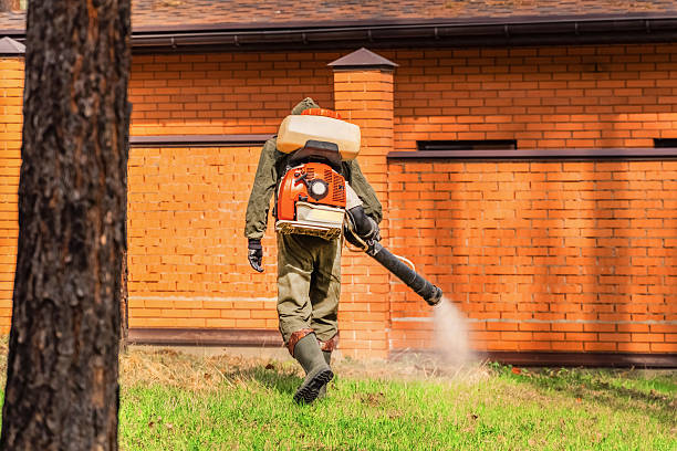 Top rated local Bed Bug Control specialists in Eufaula, OK